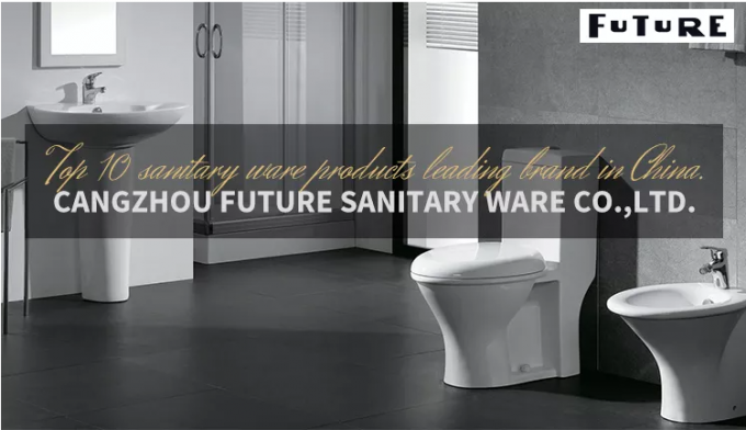 El lavabo de pedestal ideal superficial sólido clásico del estándar semi hunde los 550cm 0