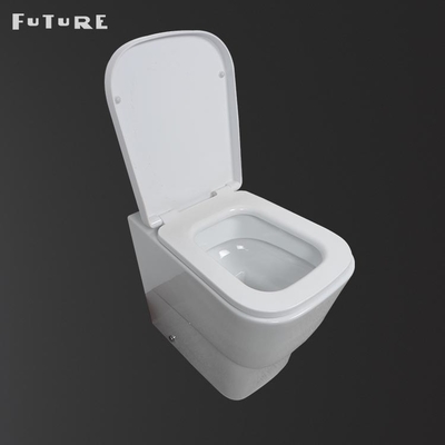 Retrete inteligente elegante rasante dual de 3L 6L de nuevo a estilo de cerámica de la pared