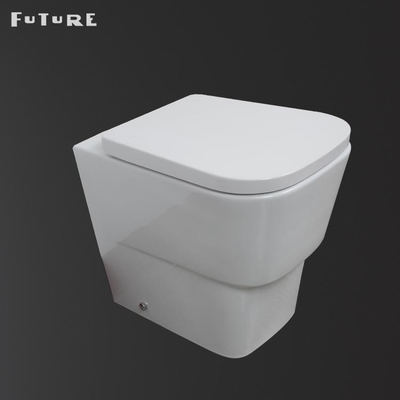 Retrete inteligente elegante rasante dual de 3L 6L de nuevo a estilo de cerámica de la pared