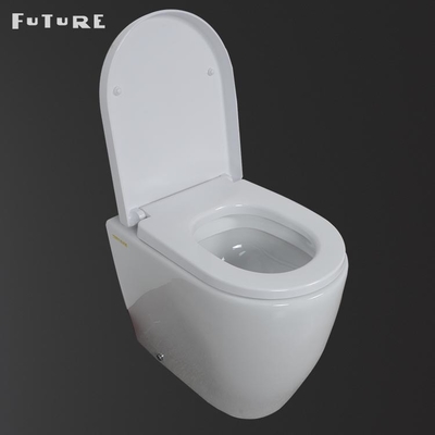 Inodoro Rimless Comfort Height Back to Wall con cisterna oculta