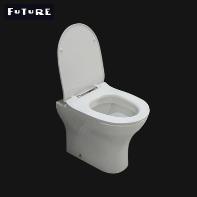 Vestuario 450m m de nuevo a limpiar con un chorro de agua eficiente estándar ideal del retrete de la pared