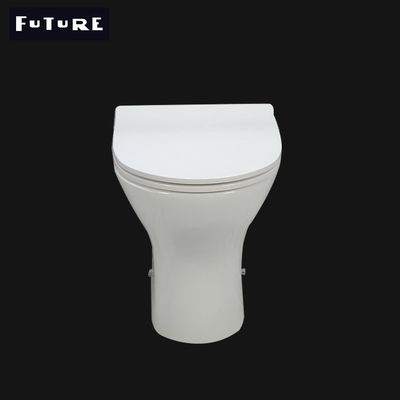 Vestuario 450m m de nuevo a limpiar con un chorro de agua eficiente estándar ideal del retrete de la pared